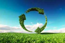 sustainability and regeneration cycle