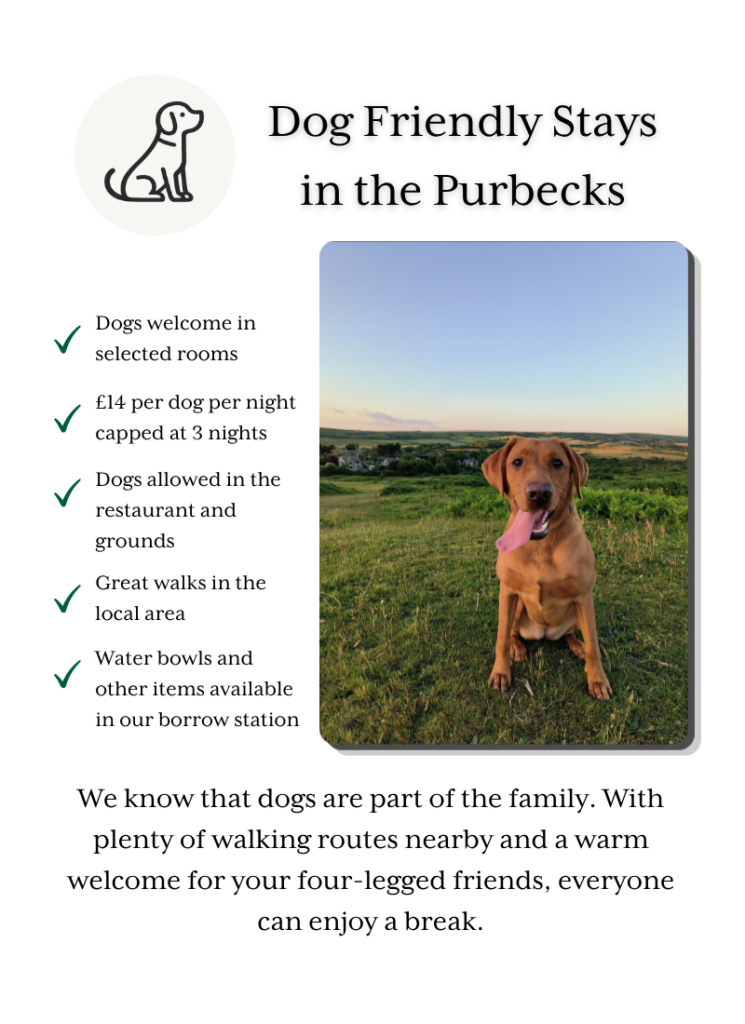 Dog friendly hotel near Corfe Castle